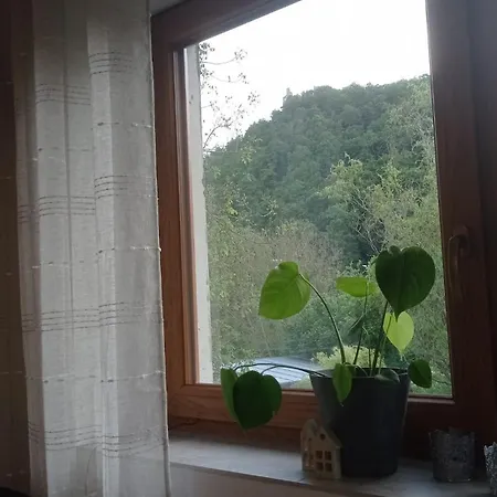 V Podhradi Boskovice