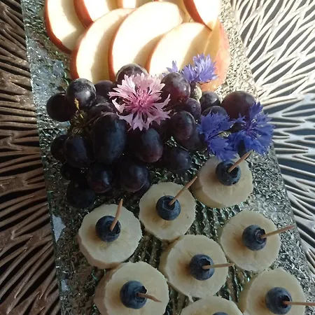 V Podhradi Boskovice Apartment *