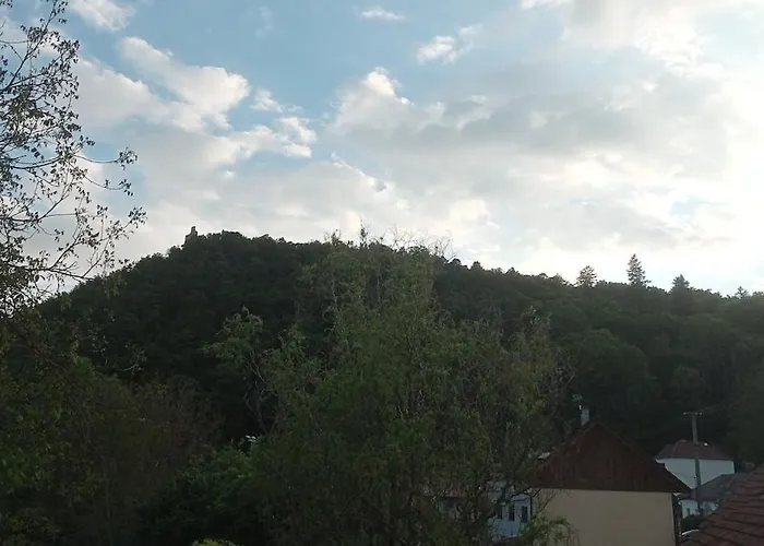 V Podhradi Boskovice 아파트