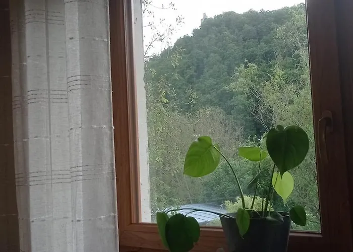 V Podhradi Boskovice