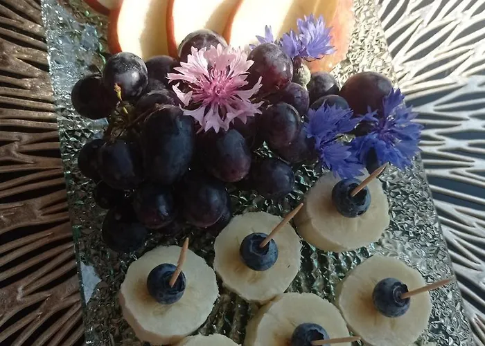 V Podhradi Boskovice 아파트 *